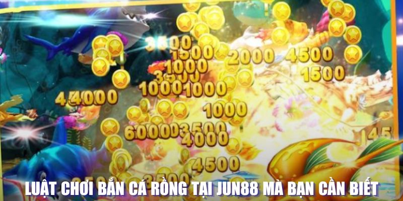 Bắn Cá Rồng - Thử Thách Chinh Phục Loài Sinh Vật Hiếm 2 Luật chơi đánh cá Rồng tại Jun88