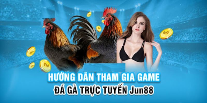 Đá Gà Campuchia - Loại Hình Giải Trí Hấp Dẫn Cho Người Chơi 3 Thao tác theo quy trình để xem đá gà
